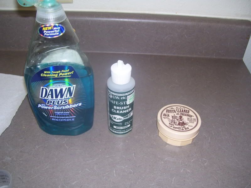 Brush Cleaning Models